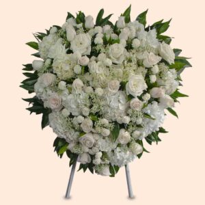 Amor Luminoso