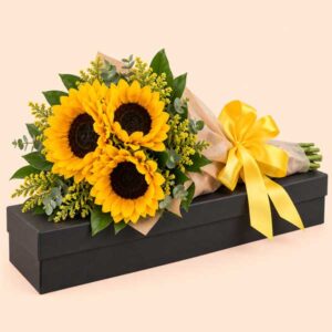 Caja X12 Girasoles